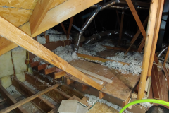Attic, Before