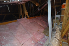 Attic Area Before  #1